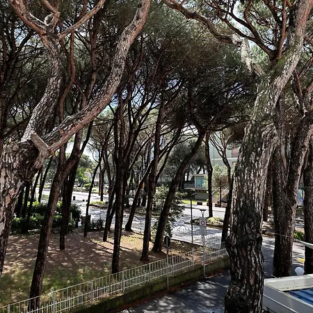 Apartment Intercontinental - Monolocali Rosolina Mare